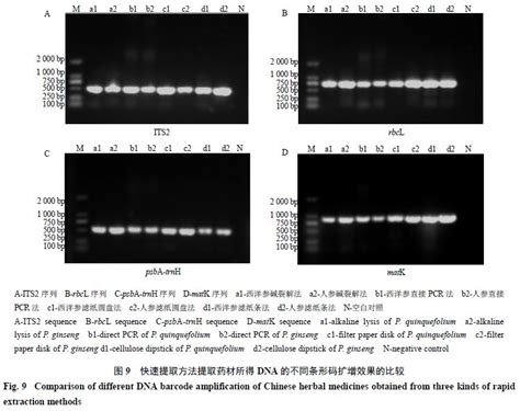 Ctab提取dna流程图 新型快速中药材dna提取方法的探索与应用 Csdn博客