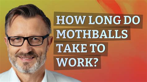 How Long Do Mothballs Take To Work Youtube