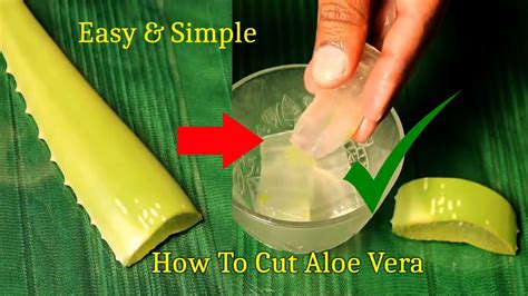 How To Extract Aloe Vera Gel Easily Youtube