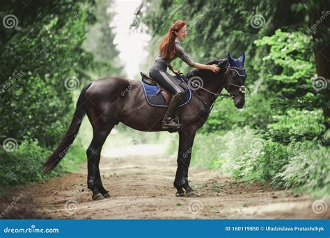 Portrait Of Attractive Woman Riding Black Hanoverian Stallion Horse