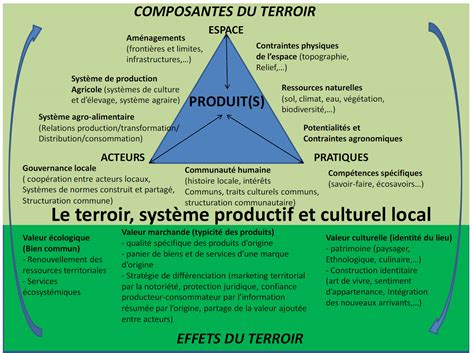 Maroc Terroir