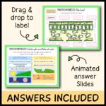 Photosynthesis Google Slides Emmatheteachie