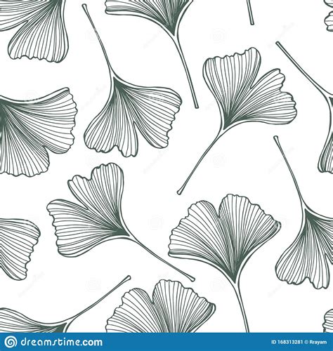 Hand Drawn Ginkgo Leaves Vector Pattern Stock Vector Illustration Of