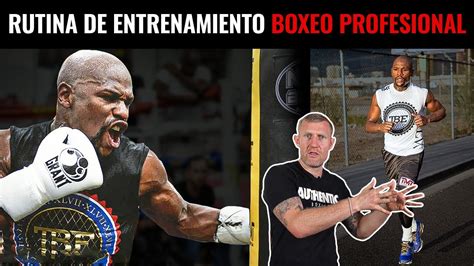 Sesion De Entrenamiento Explicada Boxeo Profesional Youtube