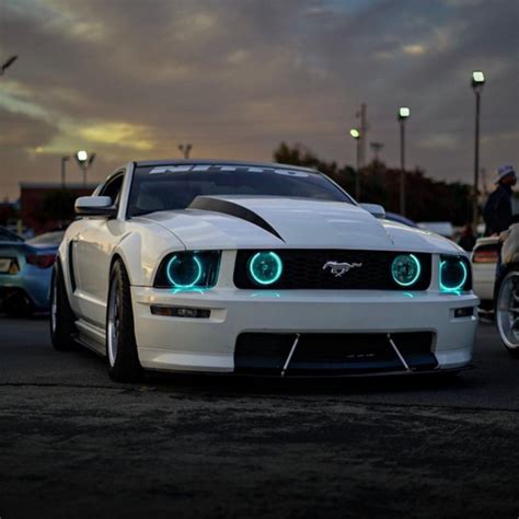 Lighting Trendz Ford Mustang Halo Kit