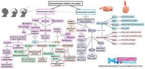 Arriba 48 Imagen Comunicacion No Verbal Mapa Mental Abzlocalmx