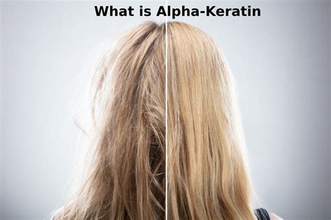 What Is Alpha Keratin Definition Structure Types And More