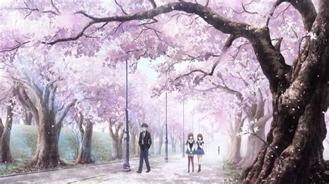 Anime Scenery Cherry Blossoms Background