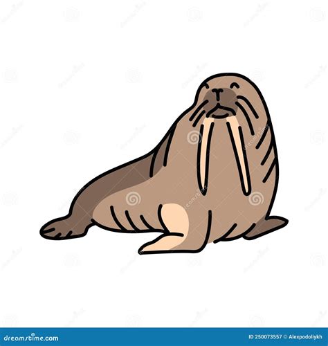 Walrus Line Art In Vector Hand Drawn Outline Illustration On White