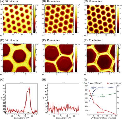 Evolution Of Vapor Deposited Initiator Ppx Eb Surface Composition Download Scientific Diagram