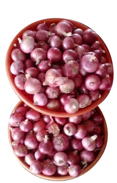 A Grade Maharashtra Nasik Pink Onion Loose Onion Size Available