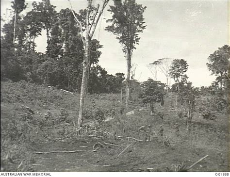 Noemfoor Island Dutch New Guinea Raaf And Us Troops On