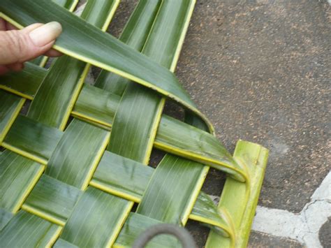 Weaving Coconut Leaf Plates | ThriftyFun