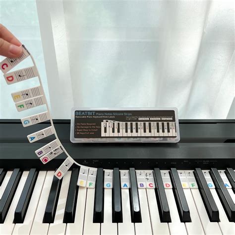 Buy Beatbit Piano Notes Guide For Beginner Removable Piano Keyboard