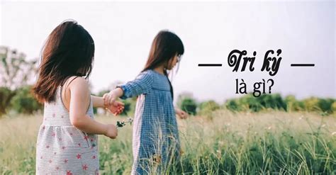 Vô tri có nghĩa là gì Từ vô tri đến không biết gì Cao đẳng Nghề Việt Mỹ