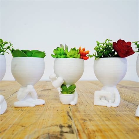 Vaso Suculenta Robert Plant Bob Bbb Decora O Plantas Sala Elo