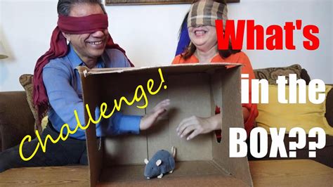 WHAT S IN THE BOX MYSTERY CHALLENGE YouTube