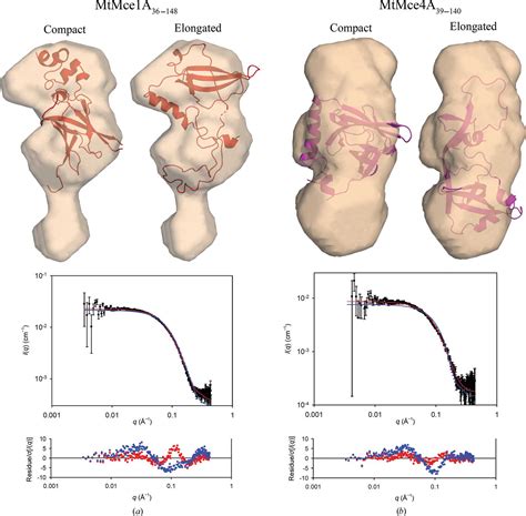 Iucr Structural Insights Into The Substrate Binding Proteins Mce A