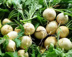 Rutabaga vs Turnip - Difference and Comparison | Diffen