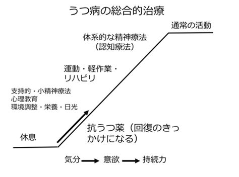 井上猛先生に「抗うつ薬とうつ病の治療法」を訊く｜公益社団法人 日本精神神経学会