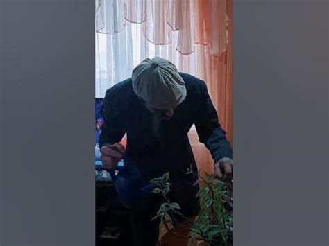 Я в доме хозяин 🥸 #shorts #viral 😳 #video #subscribe #funny 😉😄😆 # ...