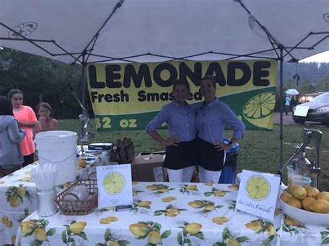 How To Start A Lemonade Stand Everything You Need To Know And Prepare