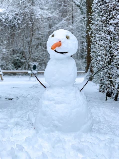 50+ Snowman Puns, Names & Jokes for Instagram Captions