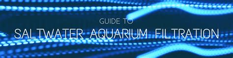 Guide To Saltwater Aquarium Filtration