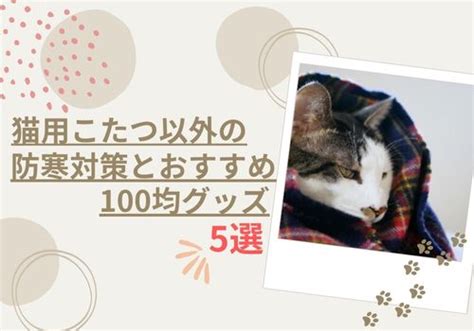 猫用こたつの手作りは100均で人間用こたつは危険防寒対策も紹介♪