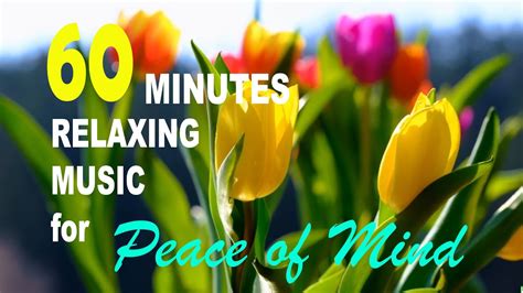 🎶🎶relaxing Music For Peace Of Mind Study Music Relax Your Soul