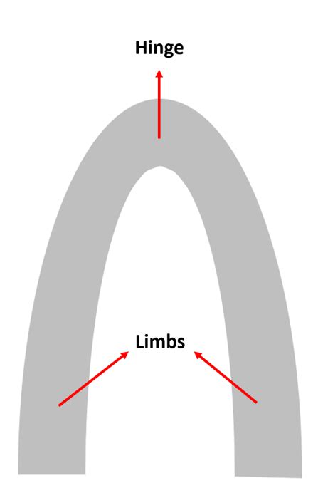 Sketch a fold showing its hinge, limb, and axial surface, an | Quizlet