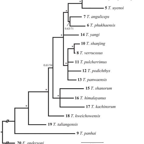 Bayesian Inference Tree Based On The Partial Nd Gene For The Samples