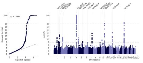 一行python画Manhattan plot与QQ plot GWASLab GWAS实验室