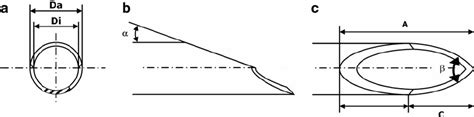 Bevel geometry. The drawing shows the needle from the front (a) , side ...