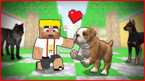 ARDA NIN BEBEĞİ EFEKAN VE KÖPEĞİ FİLMİ Minecraft ZENGİN FAKİR