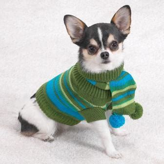 New Chihuahua Clothes By Yourself - Knitting A Sweater - Chihuahua ...