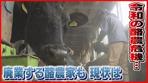 【令和の酪農危機】廃業する酪農家も相次ぐ現状とは 《新潟》 Youtube