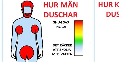 16 Skillnader Mellan Kvinnor Och Män Förklarade Med Genial Grafik