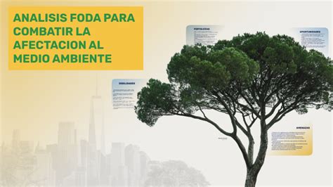 FODA PARA COMBATIR LA AFECTACION AL MEDIO AMBIENTE By Jackeline Musaja