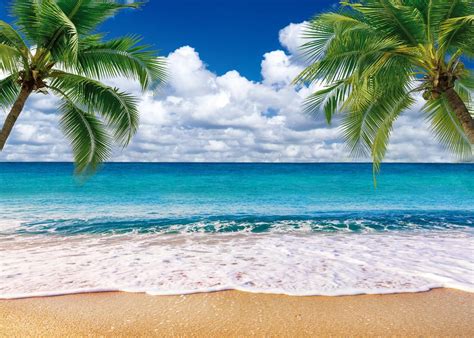 SJOLOON Summer Sea Backdrop Tropical Beach Plants Photo Backdrop