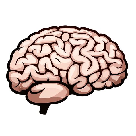 Human brain icon. Isolated transparent background, AI Generative ...