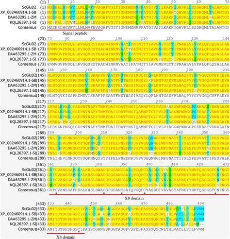 Amino Acids Sequence Alignment Of Scglud2 And Other Plant Download