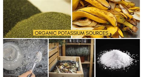 Organic Sources Of Potassium For Plants Organic Potassium Sources