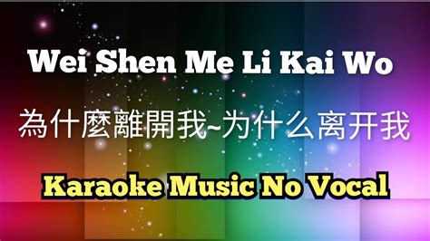 Wei Shen Me Li Kai Wo 為什麼離開我 为什么离开我 karaoke no vocal YouTube