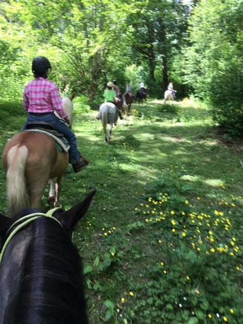 Horse Country Farm Trail Rides for Students