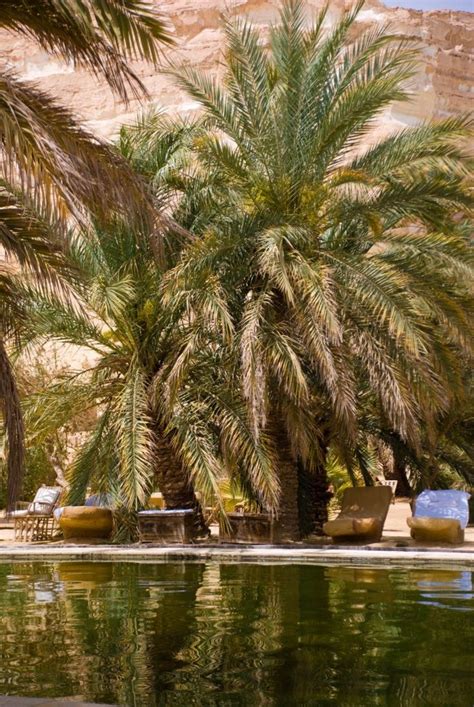 Images About Adrere Amellal And Siwa Oasis Adrere Amellal Eco Lodge