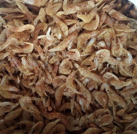 Red Dry Dried Prawn For Household At Rs 475 Kg In Vasai Virar ID