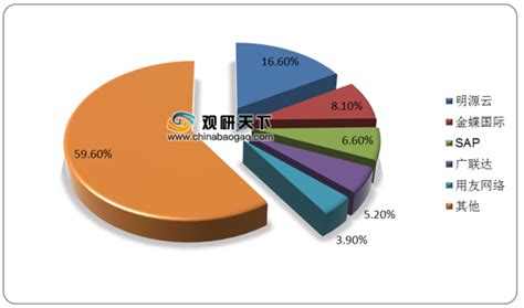 2021年中国房地产开发商软件解决方案市场分析报告 行业供需现状与发展趋势预测观研报告网