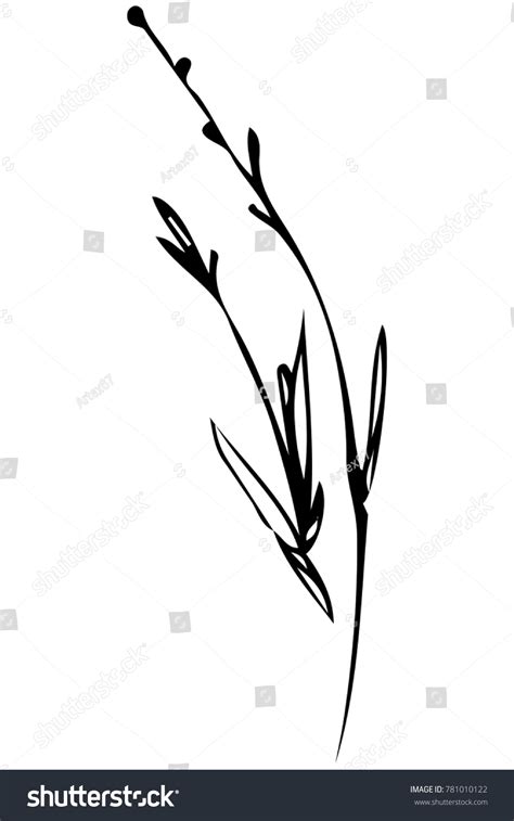 Black White Vector Sketch Stalk Grass เวกเตอร์สต็อก ปลอดค่าลิขสิทธิ์