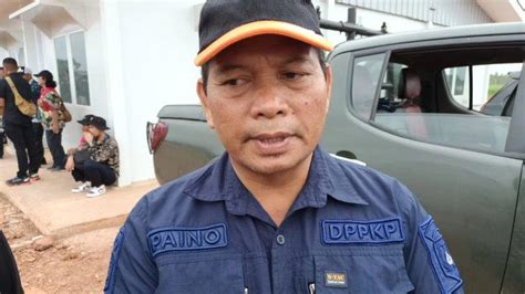 Merauke Jadi Lahan Megaproyek Swasembada Gula Dan Bioetanol Ini